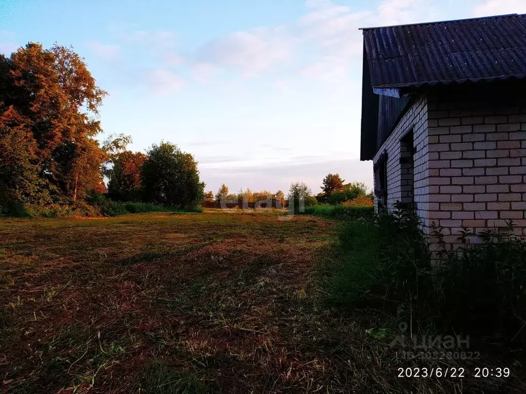 Участок в Костромская область, Красносельский район, Шолоховское ... - Фото 0