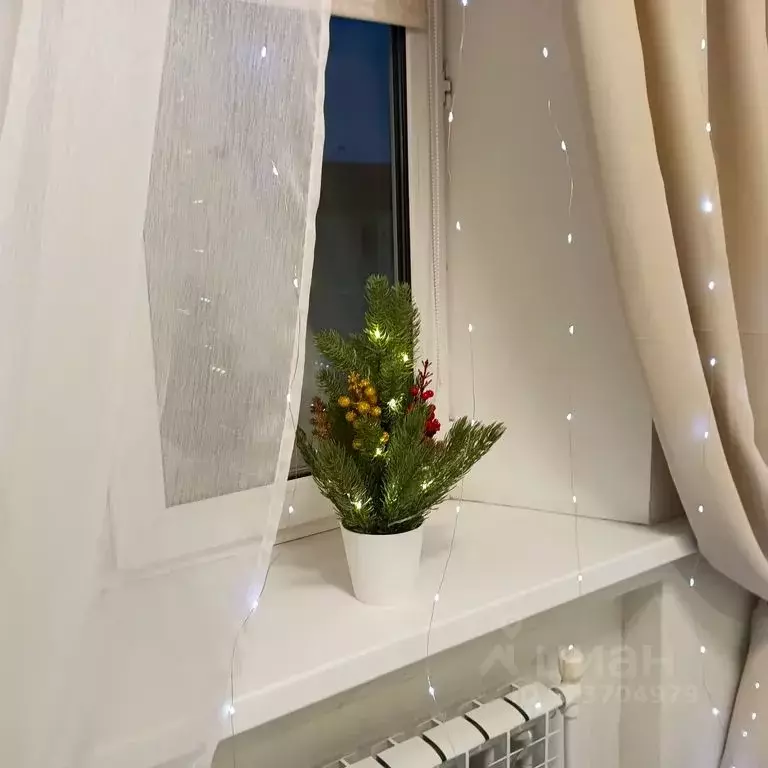 1-к кв. Московская область, Богородский городской округ, д. Новая ... - Фото 2