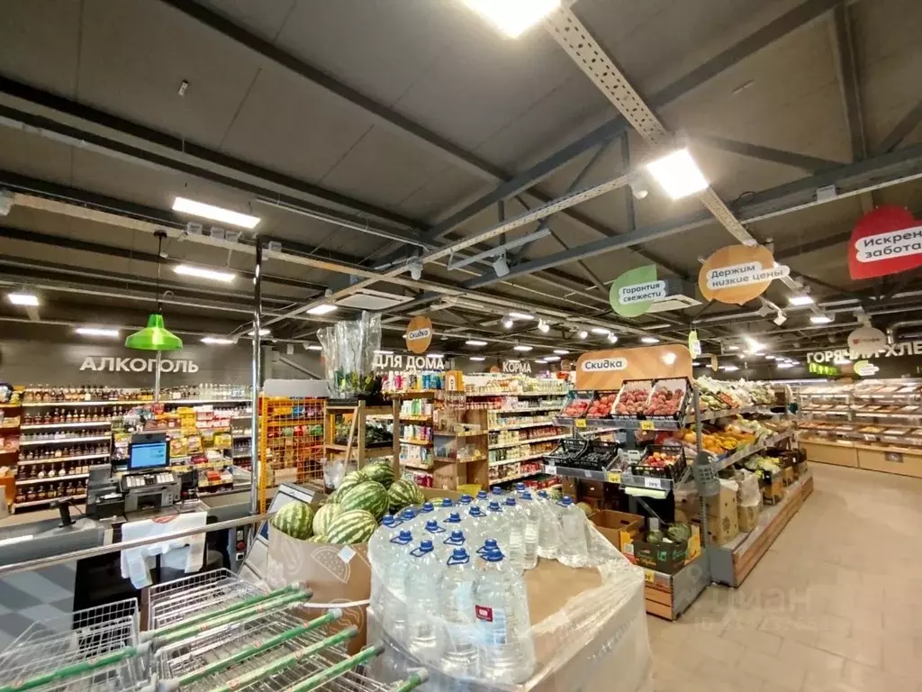 Торговая площадь в Московская область, Коломна городской округ, д. ... - Фото 1