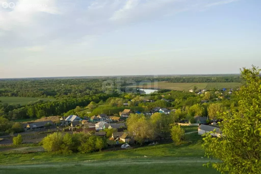 Участок в Липецкий муниципальный округ, село Подгорное (892.41 м) - Фото 2