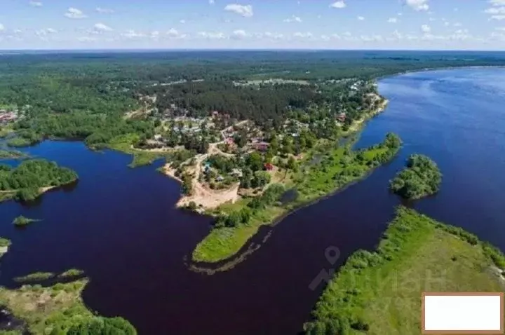 Дом в Нижегородская область, Бор  (100 м) - Фото 1