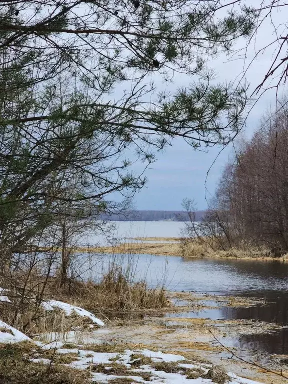 Дом в Тверская область, Калязинский муниципальный округ, д. Митино ул. ... - Фото 2
