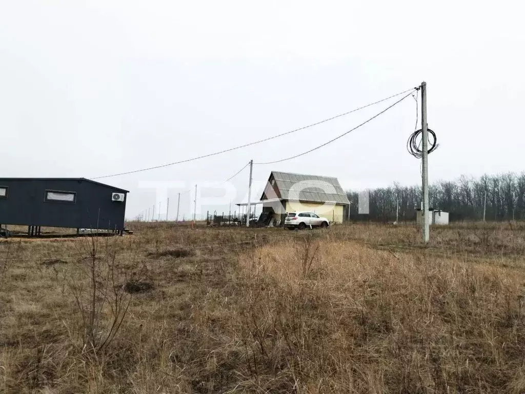 Участок в Воронежская область, Рамонский район, Русскогвоздевское ... - Фото 2