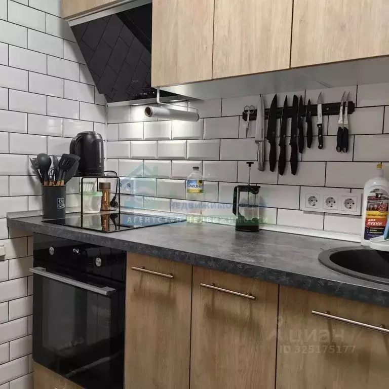 1-к кв. Краснодарский край, Новороссийск ул. Куникова, 104 (29.7 м) - Фото 1