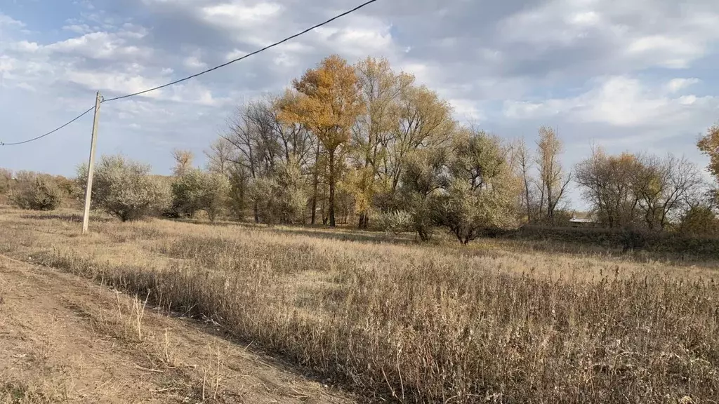 Участок в Волгоградская область, Среднеахтубинский район, Куйбышевское ... - Фото 1