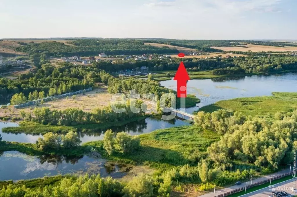 Участок в Саратовская область, Воскресенский район, Елшанское ... - Фото 0