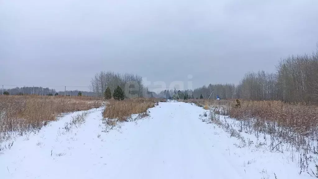 Участок в Тюменская область, Нижнетавдинский район, пос. Торгили  ... - Фото 0