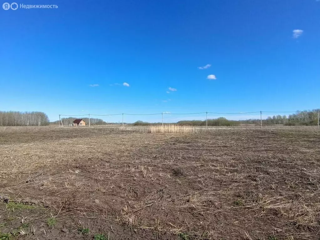 Участок в Тюменский муниципальный округ, КП Новая Горьковка (7.3 м) - Фото 2