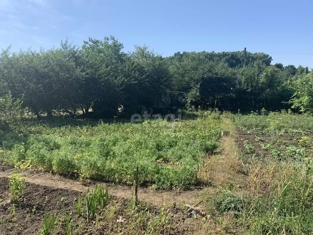 Участок в Белгородская область, Белгородский район, Тавровское с/пос, ... - Фото 0