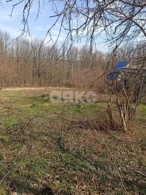 Участок в Краснодарский край, Горячий Ключ Кунпанова Поляна СТ, ул. ... - Фото 1