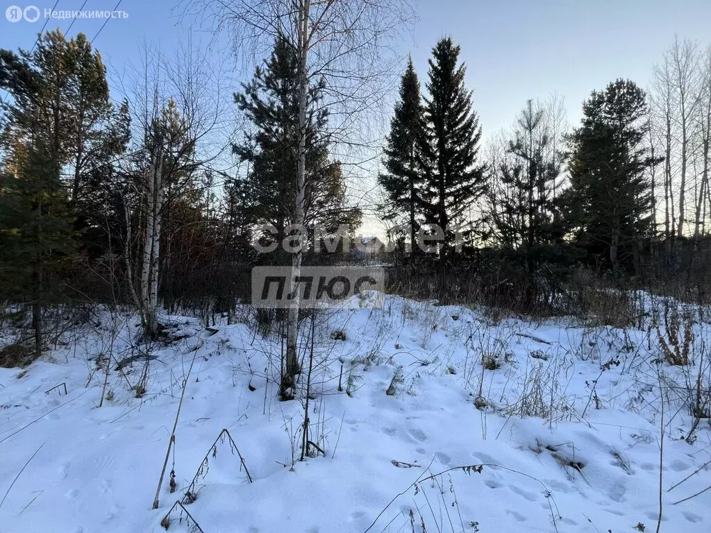 Участок в Екатеринбург, жилой район Центральный (9 м) - Фото 1