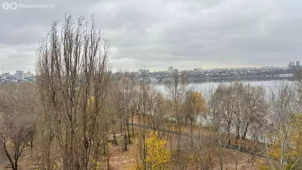 1-комнатная квартира: Воронеж, улица Гаршина, 25к4 (29.7 м) - Фото 2