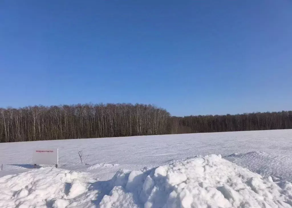 Участок в Московская область, Ступино городской округ, Малино пгт ул. ... - Фото 1
