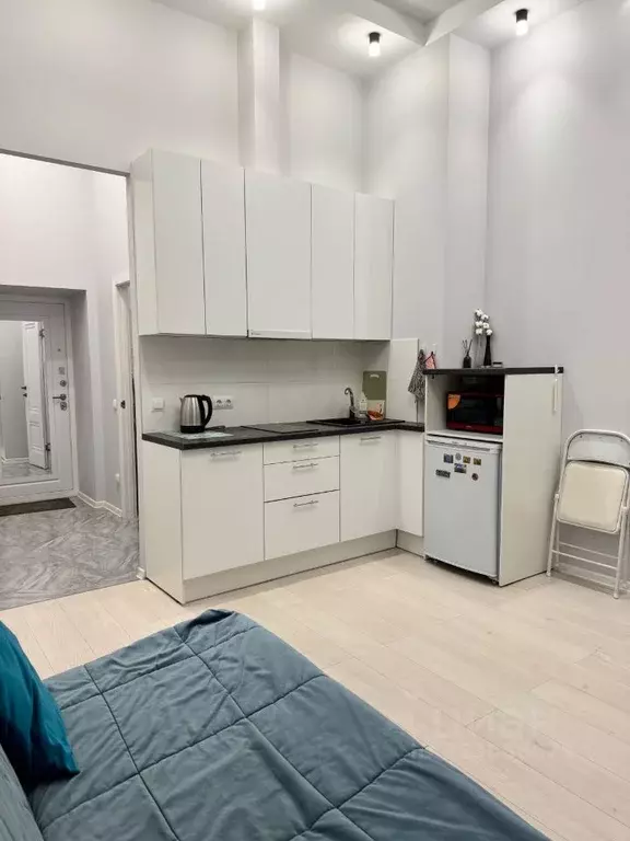 Студия Санкт-Петербург Боровая ул., 34/24 (25.0 м) - Фото 1