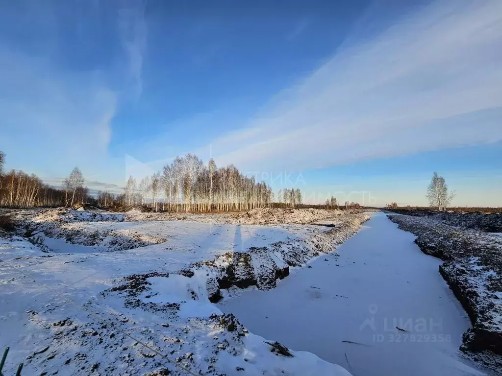 Участок в Тюменская область, Нижнетавдинский муниципальный округ, ... - Фото 1