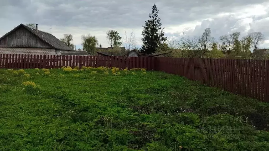 Дом в Псковская область, Порхов Строительная ул., 12А (48 м) - Фото 1