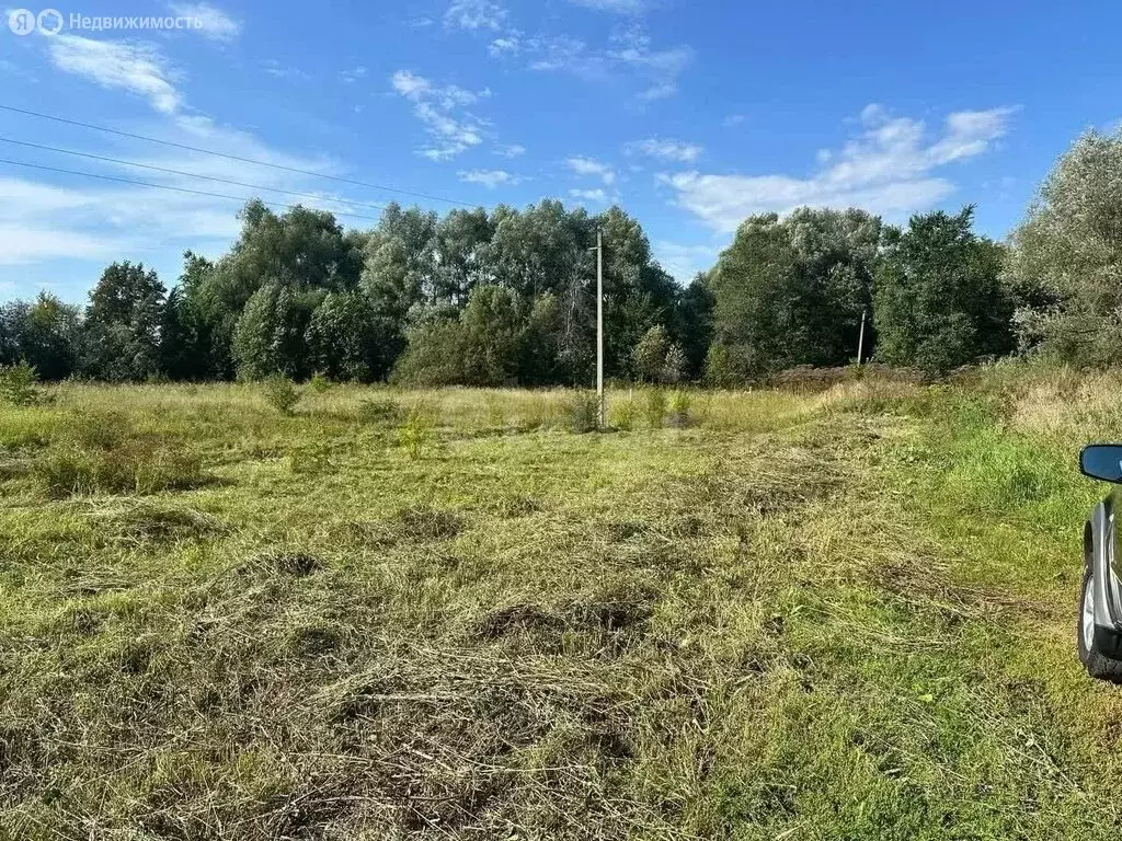 Участок в Пермский край, Чернушинский муниципальный округ, село Брод ... - Фото 2