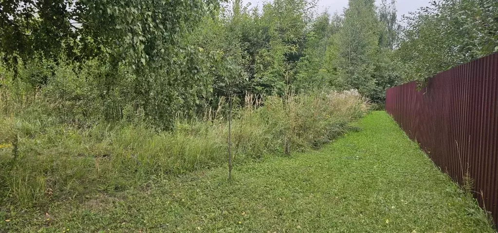 Участок в Московская область, Луховицы Луговая ул. (4.0 сот.) - Фото 2