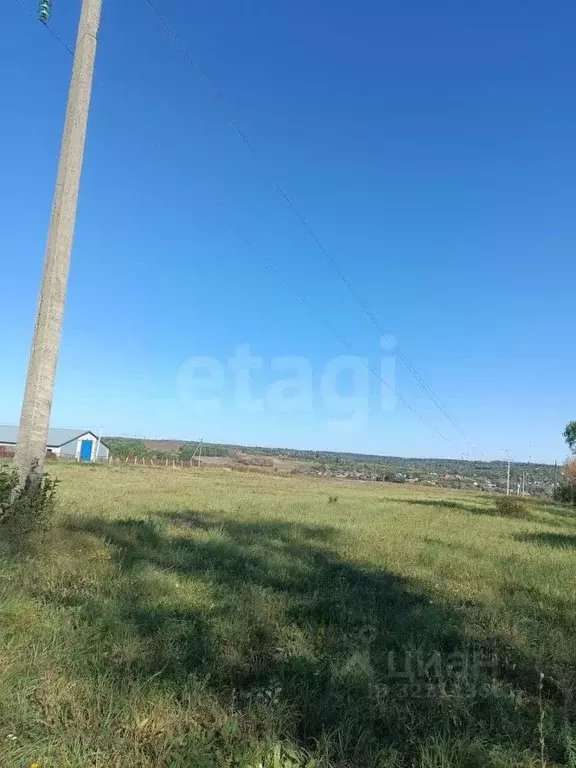 Участок в Курская область, Курский район, Моковский сельсовет, д. ... - Фото 2