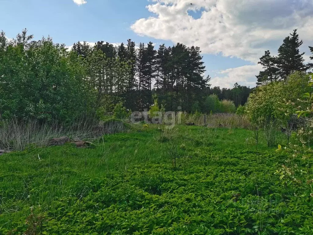 Участок в Томская область, Томский район, с. Курлек Сибирская ул. ... - Фото 1