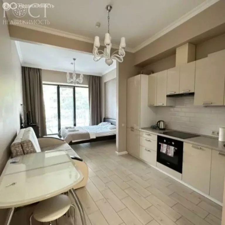 Квартира-студия: Сочи, Курортный проспект, 105А (45 м) - Фото 1