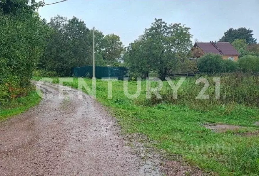 Участок в Ленинградская область, Кингисеппский район, Котельское ... - Фото 1