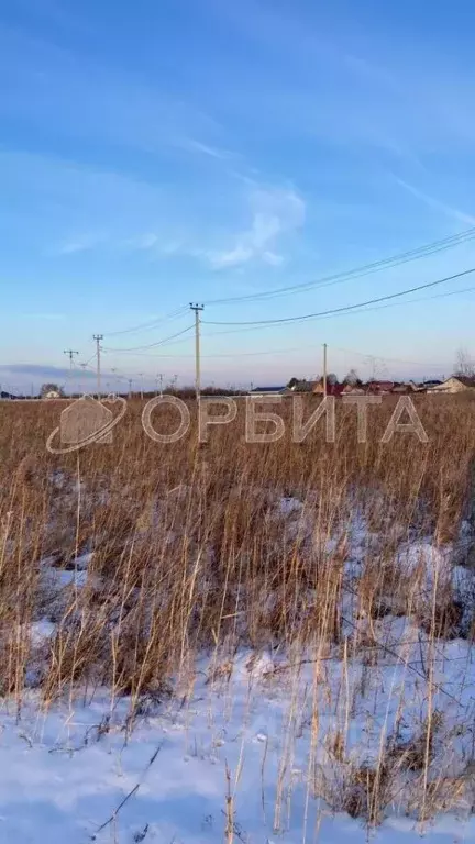 Участок в Тюменская область, Тюмень Царево садовое товарищество, ул. ... - Фото 0