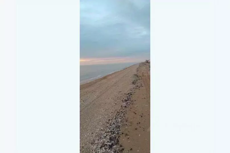 3-к кв. Краснодарский край, Ейск ул. Горького, 11/2 (61.0 м) - Фото 1
