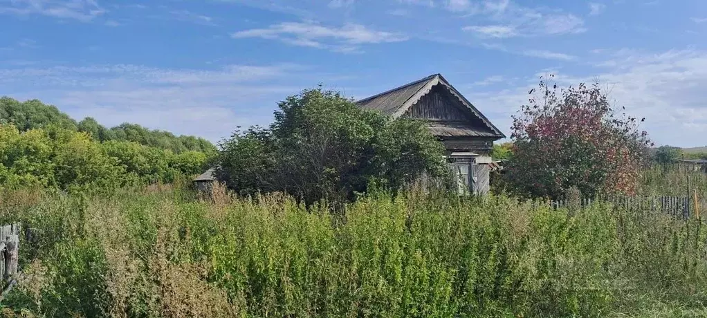 Дом в Ульяновская область, Тереньгульский район, Подкуровское с/пос, ... - Фото 0