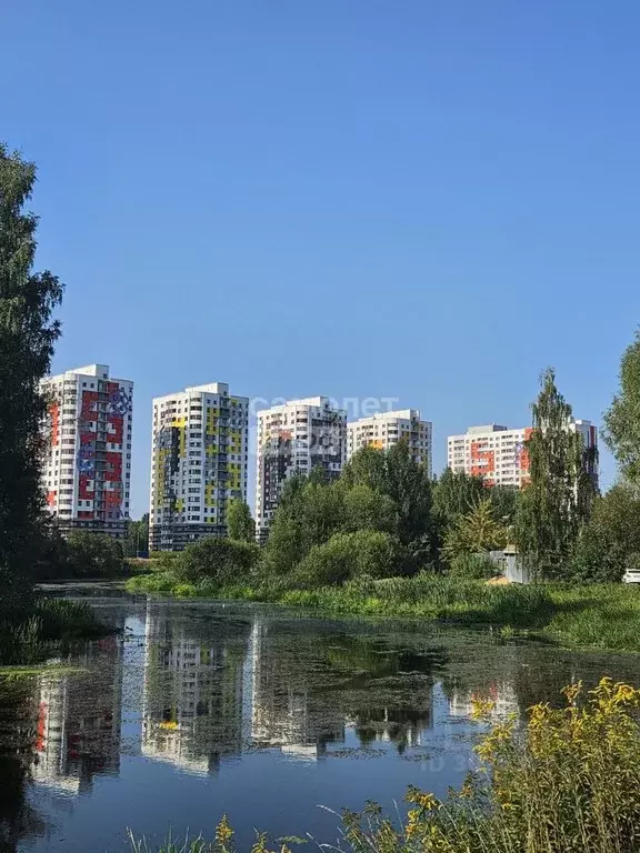 2-к кв. Московская область, Ивантеевка Пушкинский городской округ, ул. ... - Фото 0