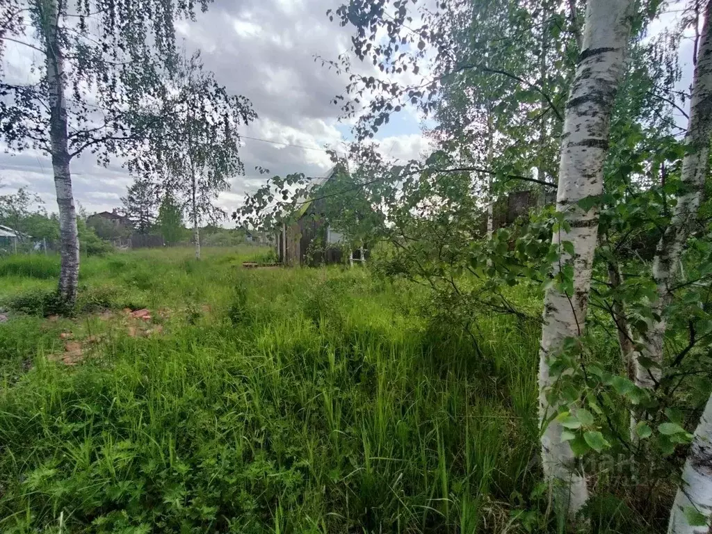 Участок в Новгородская область, Новгородский район, Савинское с/пос, ... - Фото 0