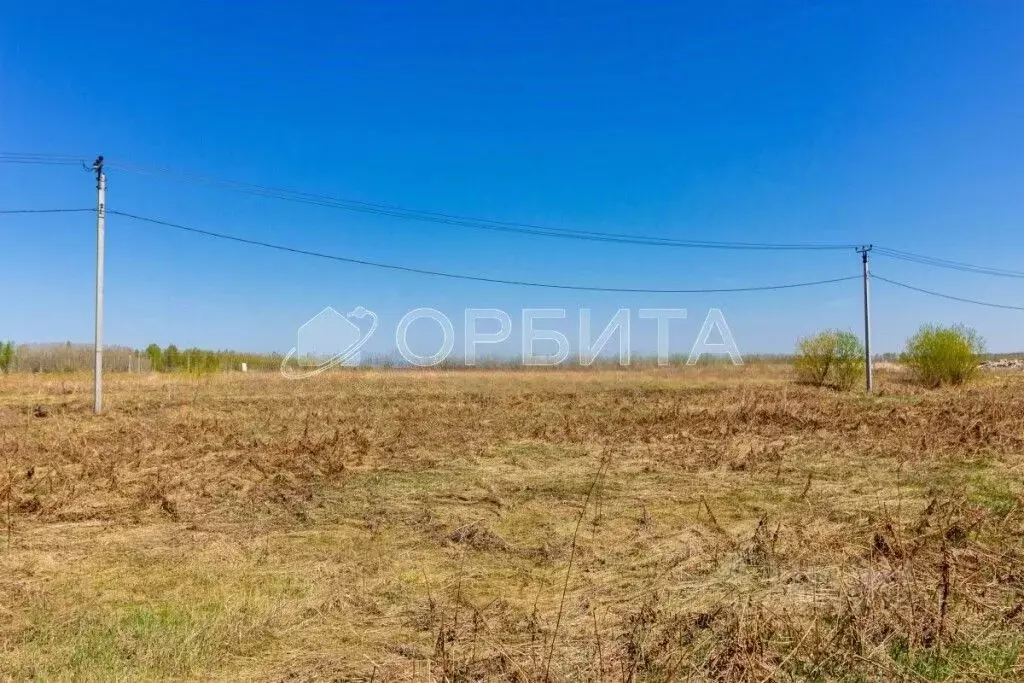 Участок в Тюменская область, Тюменский муниципальный округ, с. ... - Фото 2