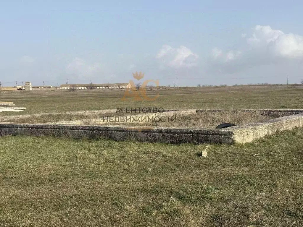 Участок в Крым, Кировский район, Синицынское с/пос, с. Васильковое ул. ... - Фото 2