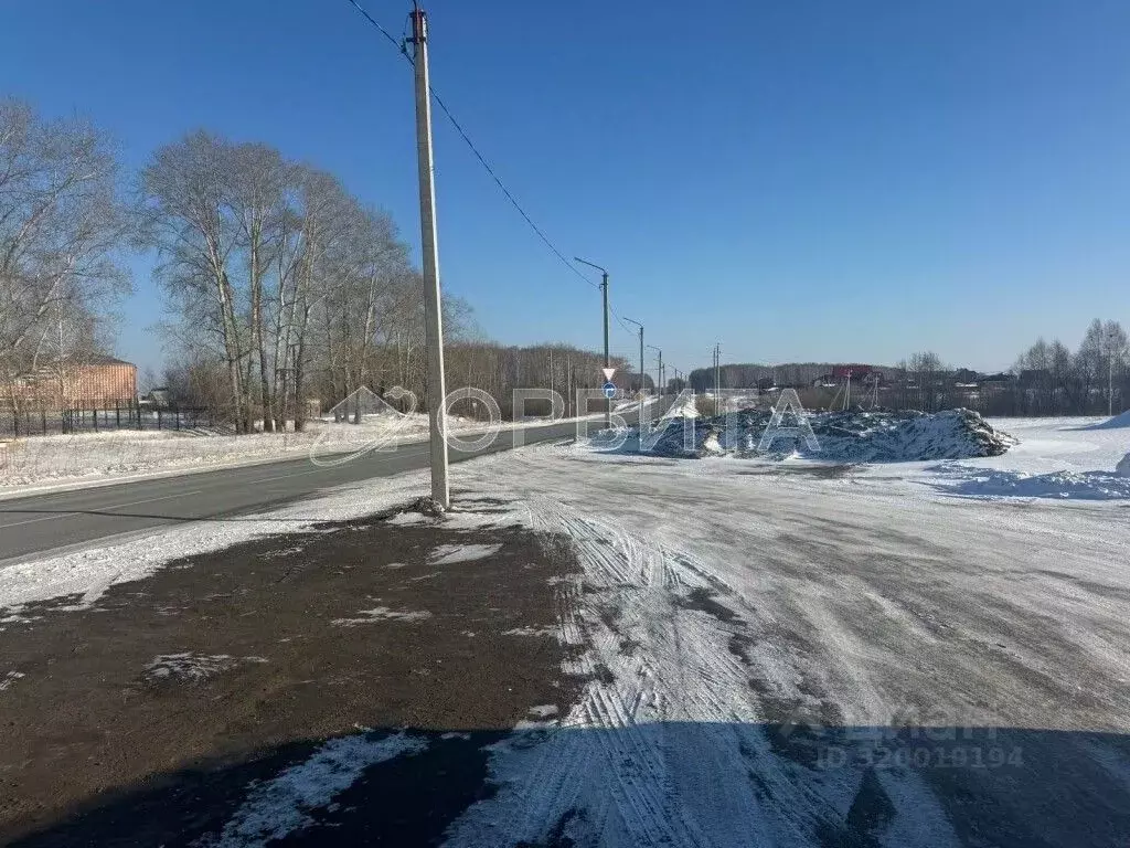 Участок в Тюменская область, Тюменский район, д. Большие Акияры ... - Фото 0