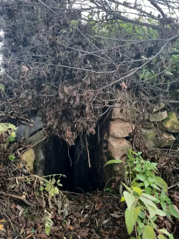 Дом в Тульская область, Щекинский район, Лазаревское с/пос, д. ... - Фото 2