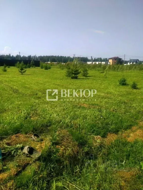 Участок в Ивановская область, Ивановский муниципальный округ, д. ... - Фото 1