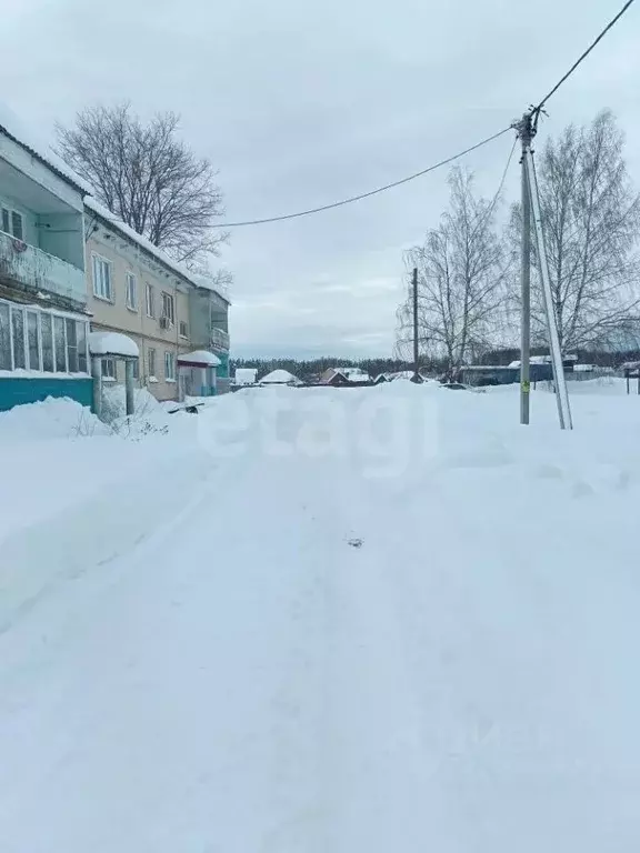 3-к кв. Владимирская область, Меленковский муниципальный округ, с. ... - Фото 2