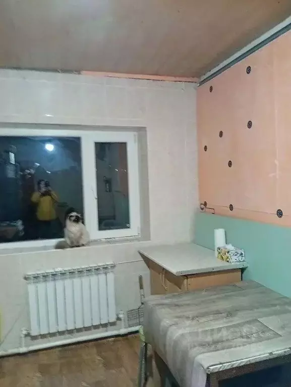 Дом в Ростовская область, Белокалитвинский район, пос. Коксовый ... - Фото 2