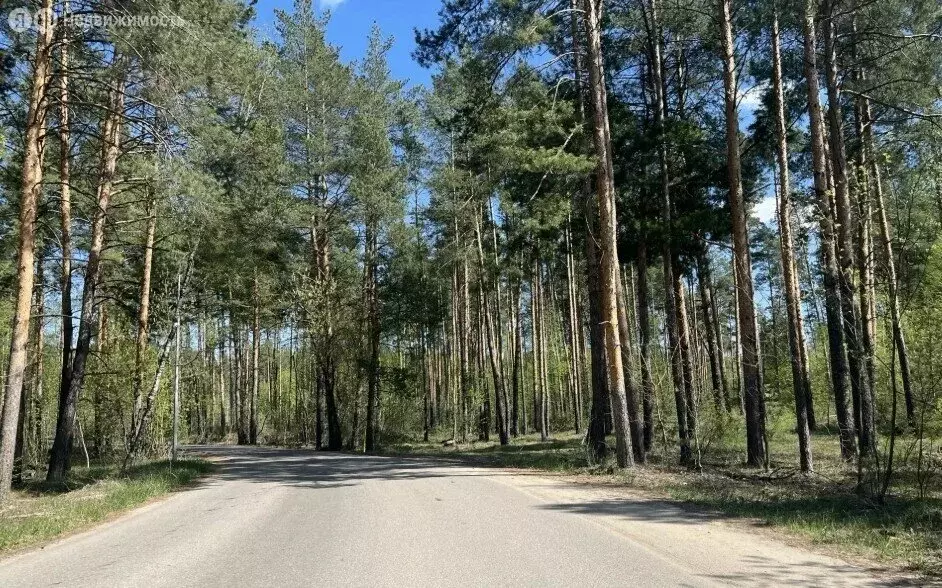 Дом в Казань, СНТ Виктория-Остров (55 м) - Фото 2