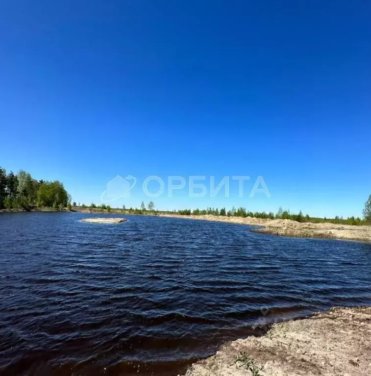 Участок в Тюменская область, Нижнетавдинский район, Строитель ТСН ул. ... - Фото 1