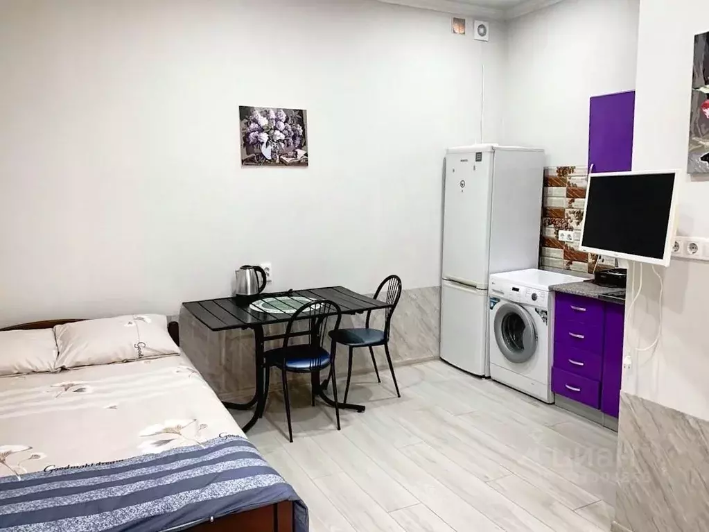 Студия Краснодарский край, Сочи Светлана мкр, ул. Лысая Гора, 36В ... - Фото 1