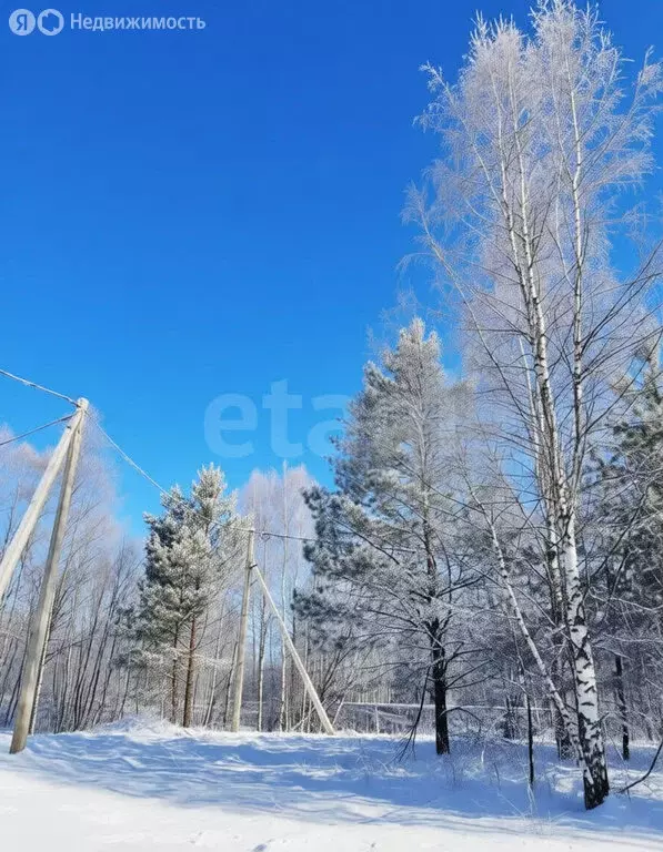 Участок в Тверская область, Калининский муниципальный округ, деревня ... - Фото 2