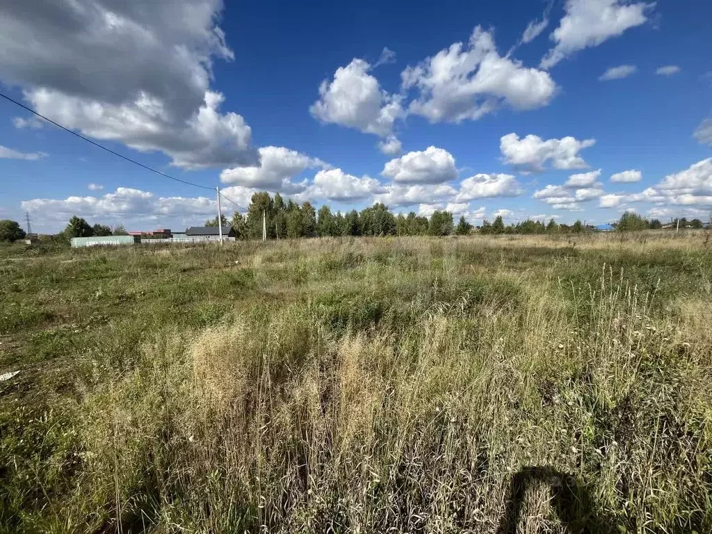 Участок в Новосибирская область, Новосибирский район, Станционный ... - Фото 1