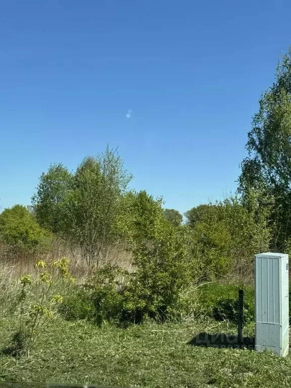 Участок в Калининградская область, Зеленоградск  (6.0 сот.) - Фото 2