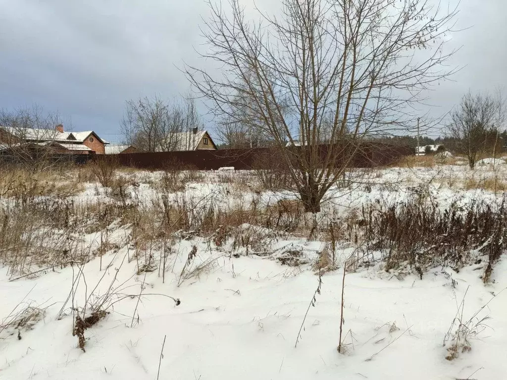 Участок в Московская область, Орехово-Зуевский городской округ, д. ... - Фото 0