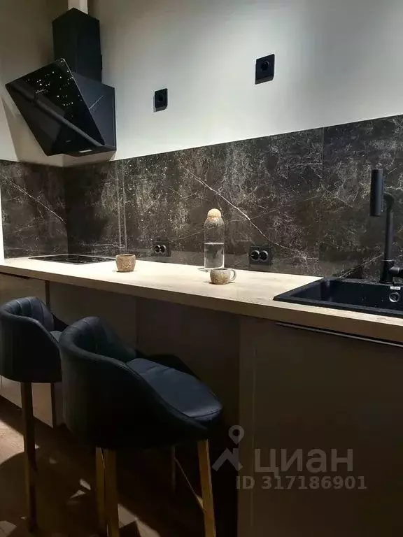 Студия Санкт-Петербург Московский просп., 163К2 (17.0 м) - Фото 0