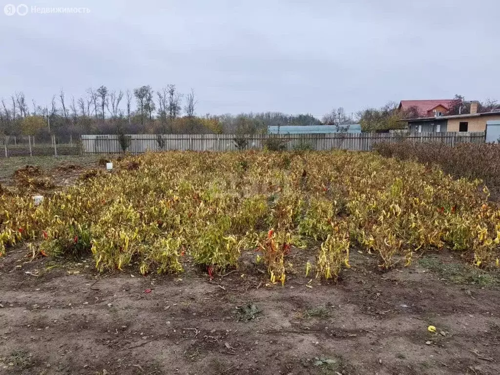 Участок в хутор Адагум, улица Есенина (11.7 м) - Фото 0