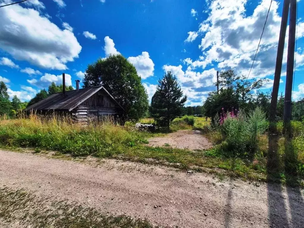 Участок в Ленинградская область, Выборгский район, Каменногорское ... - Фото 1