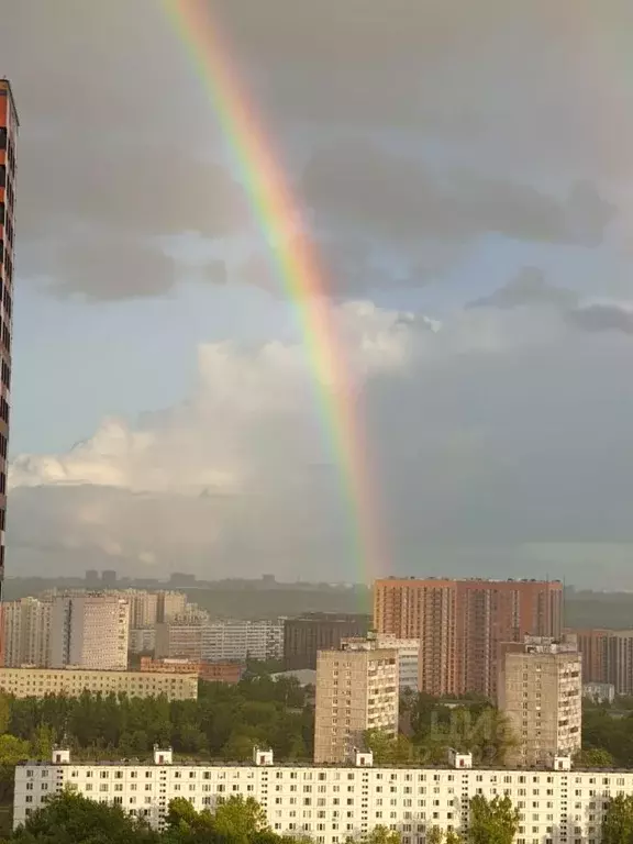 Студия Москва Амурская ул., 1Ак5 (20.0 м) - Фото 2