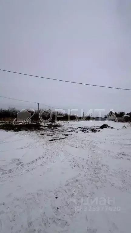 Участок в Тюменская область, Тюменский муниципальный округ, Речник ... - Фото 1